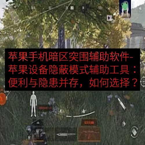 苹果手机暗区突围辅助软件-苹果设备隐蔽模式辅助工具：便利与隐